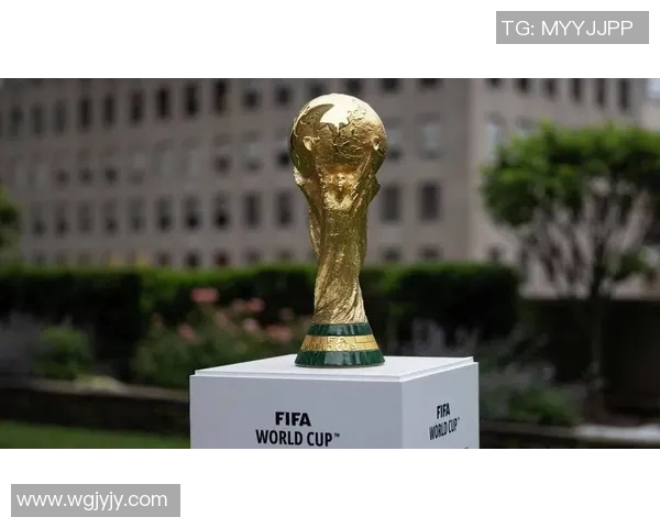 法国男子足球队的荣耀与挑战：追寻世界杯梦想的征程与展望