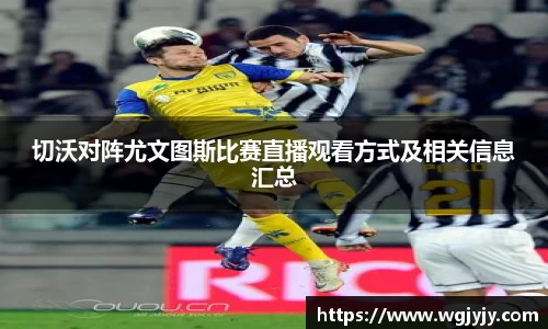 球速体育
