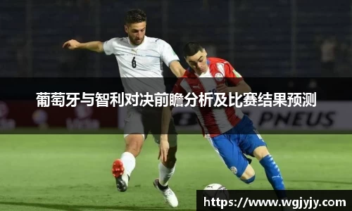球速体育平台