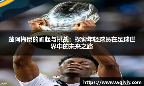 球速体育官网