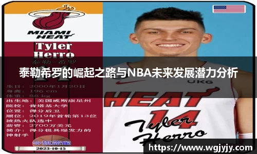 球速体育平台