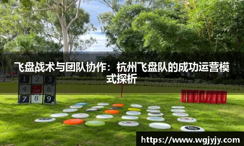 飞盘战术与团队协作：杭州飞盘队的成功运营模式探析