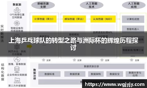 球速体育平台