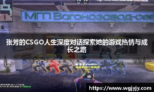 球速体育APP