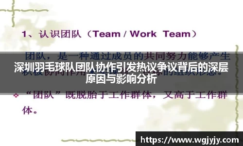 深圳羽毛球队团队协作引发热议争议背后的深层原因与影响分析