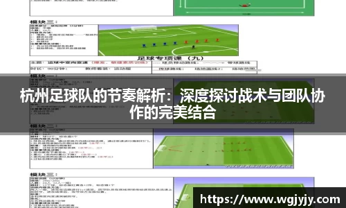球速体育平台